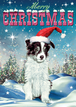 Merry Christmas Puppy Dog Pack of 5 Greeting Cards by Max Hernn